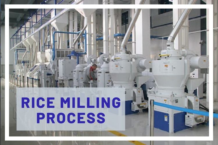 rice milling process