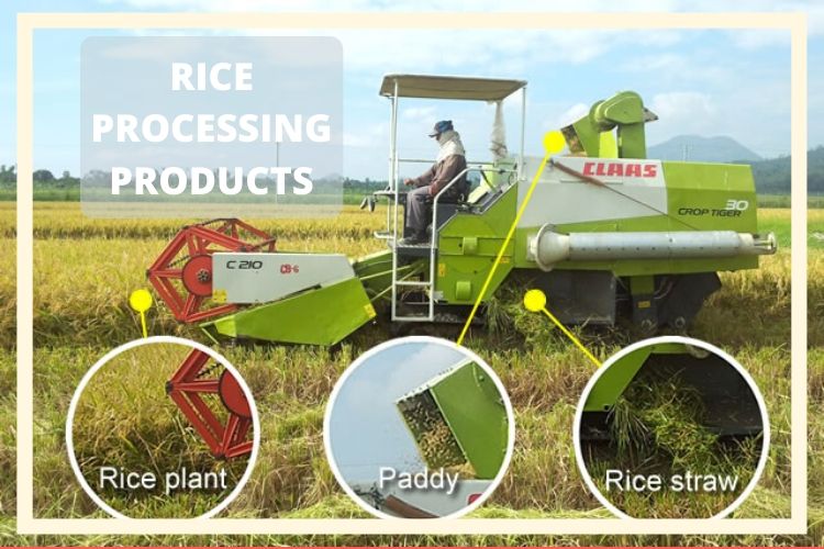 Rice processing products