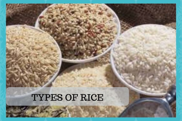 Types of rice