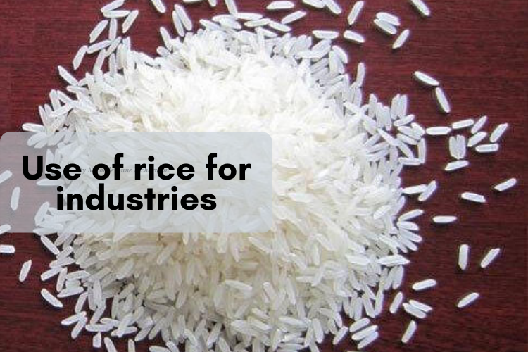 Uses of rice for industries